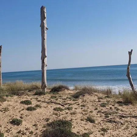 Les Cariatides Holiday home La Cotiniere